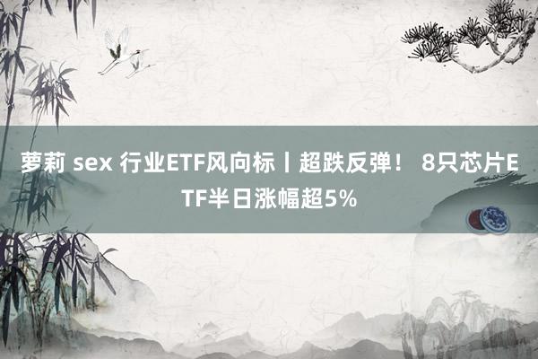 萝莉 sex 行业ETF风向标丨超跌反弹！ 8只芯片ETF半日涨幅超5%