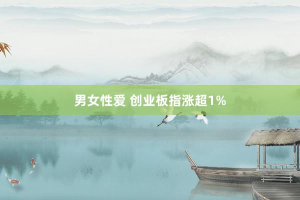 男女性爱 创业板指涨超1%