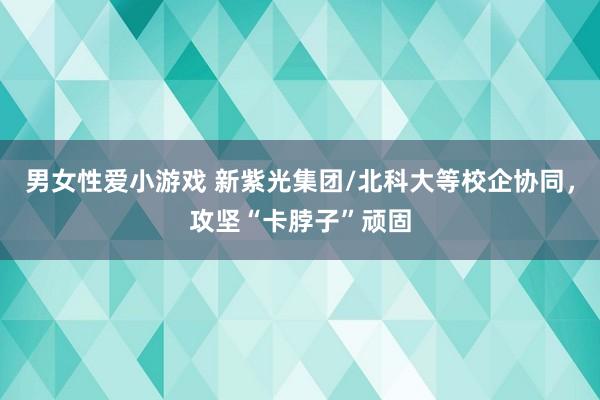 男女性爱小游戏 新紫光集团/北科大等校企协同，攻坚“卡脖子”顽固