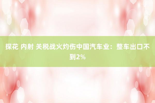 探花 内射 关税战火灼伤中国汽车业：整车出口不到2%