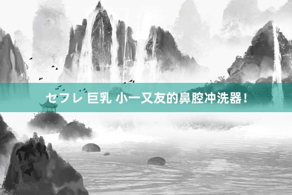セフレ 巨乳 小一又友的鼻腔冲洗器！