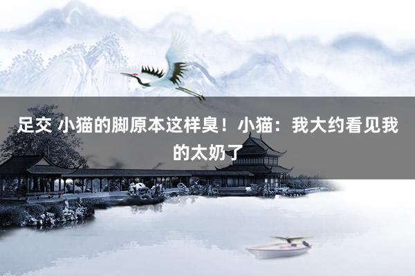 足交 小猫的脚原本这样臭！小猫：我大约看见我的太奶了