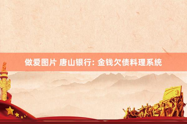 做爱图片 唐山银行: 金钱欠债料理系统