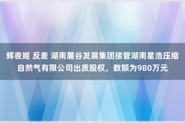 辉夜姬 反差 湖南麓谷发展集团接管湖南星浩压缩自然气有限公司出质股权，数额为980万元