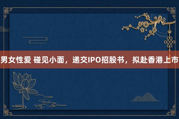 男女性爱 碰见小面，递交IPO招股书，拟赴香港上市
