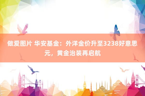 做爱图片 华安基金：外洋金价升至3238好意思元，黄金治装再启航