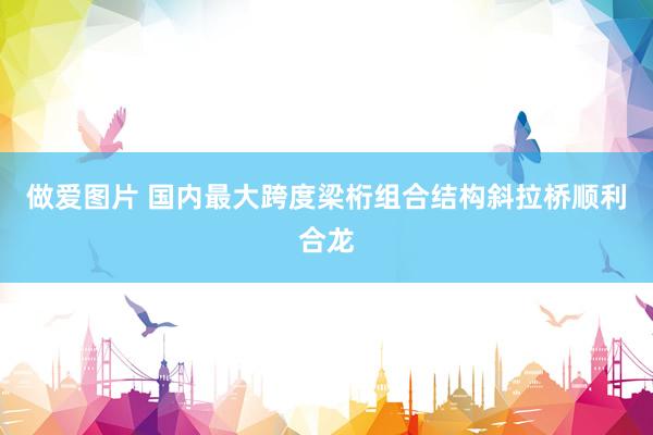 做爱图片 国内最大跨度梁桁组合结构斜拉桥顺利合龙