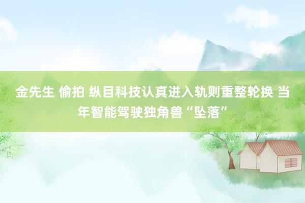金先生 偷拍 纵目科技认真进入轨则重整轮换 当年智能驾驶独角兽“坠落”