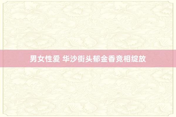 男女性爱 华沙街头郁金香竞相绽放