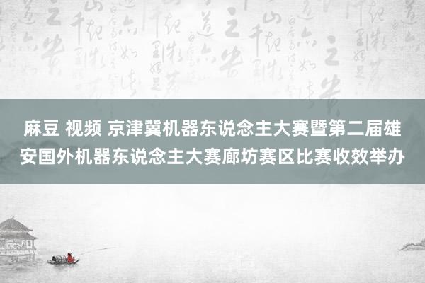 麻豆 视频 京津冀机器东说念主大赛暨第二届雄安国外机器东说念主大赛廊坊赛区比赛收效举办