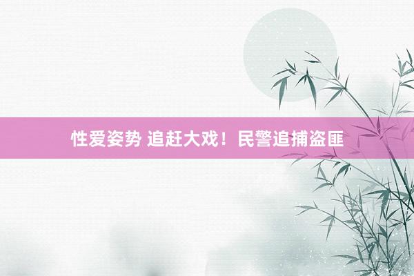 性爱姿势 追赶大戏！民警追捕盗匪