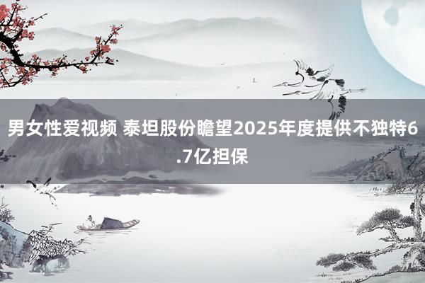 男女性爱视频 泰坦股份瞻望2025年度提供不独特6.7亿担保