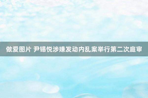 做爱图片 尹锡悦涉嫌发动内乱案举行第二次庭审