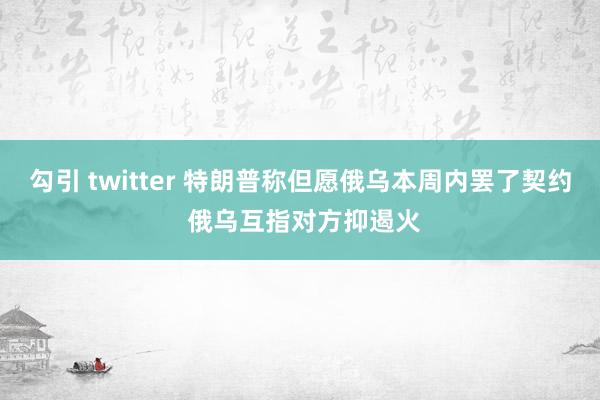 勾引 twitter 特朗普称但愿俄乌本周内罢了契约 俄乌互指对方抑遏火