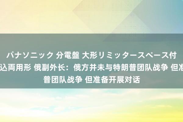パナソニック 分電盤 大形リミッタースペース付 露出・半埋込両用形 俄副外长：俄方并未与特朗普团队战争 但准备开展对话