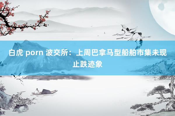 白虎 porn 波交所：上周巴拿马型船舶市集未现止跌迹象