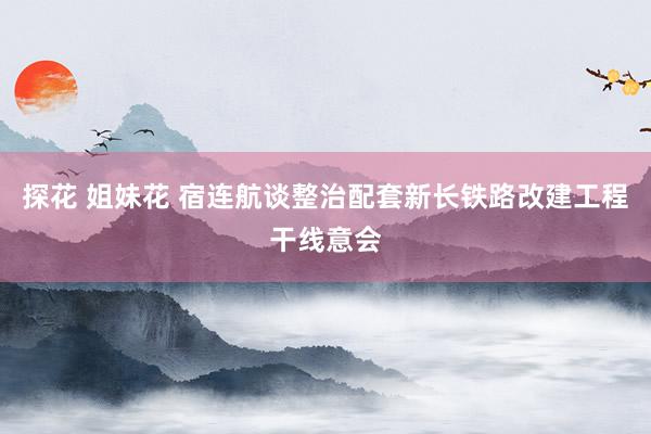 探花 姐妹花 宿连航谈整治配套新长铁路改建工程干线意会