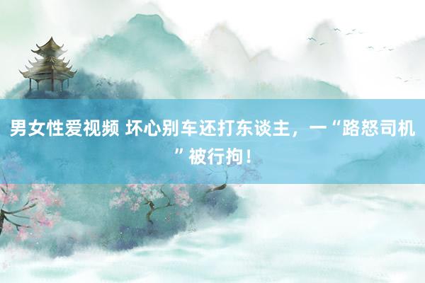 男女性爱视频 坏心别车还打东谈主，一“路怒司机”被行拘！
