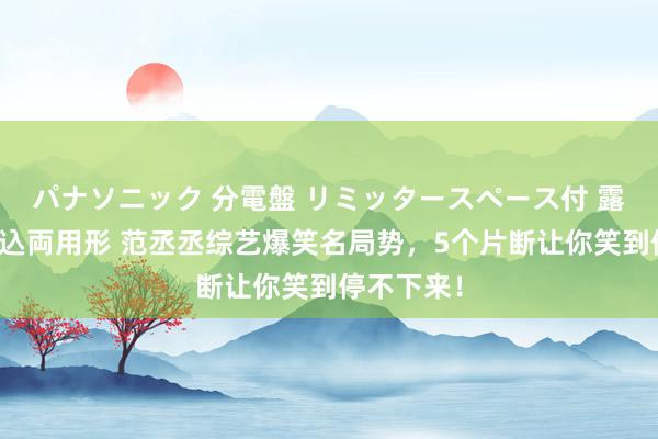 パナソニック 分電盤 リミッタースペース付 露出・半埋込両用形 范丞丞综艺爆笑名局势，5个片断让你笑到停不下来！