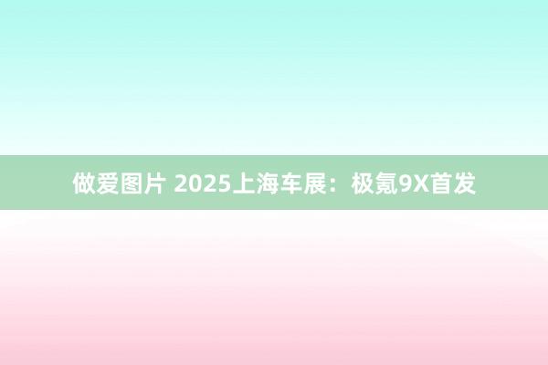 做爱图片 2025上海车展：极氪9X首发