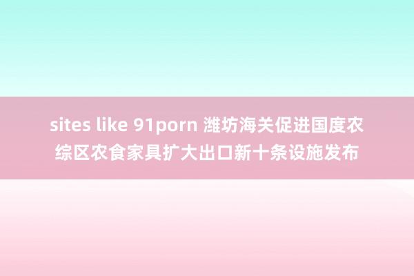 sites like 91porn 潍坊海关促进国度农综区农食家具扩大出口新十条设施发布