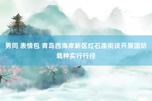 男同 表情包 青岛西海岸新区红石崖街谈开展国防栽种实行行径