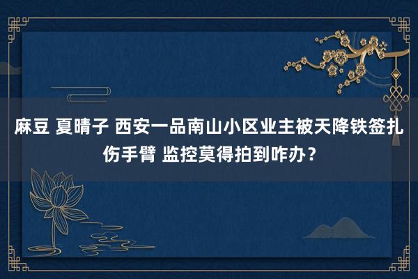麻豆 夏晴子 西安一品南山小区业主被天降铁签扎伤手臂 监控莫得拍到咋办？