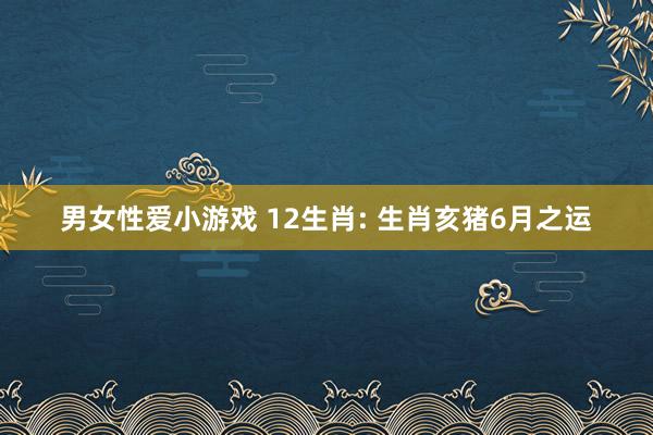男女性爱小游戏 12生肖: 生肖亥猪6月之运