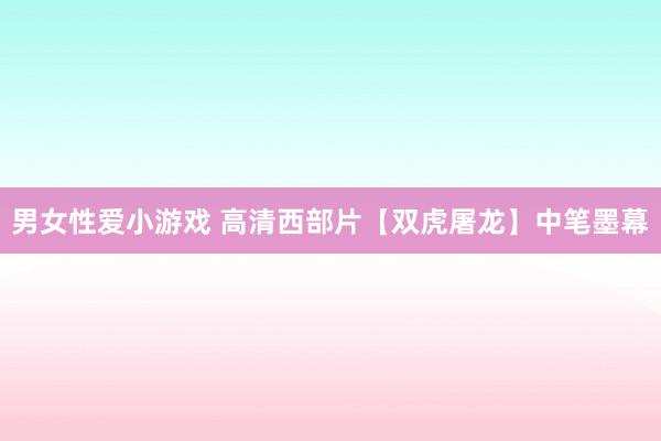 男女性爱小游戏 高清西部片【双虎屠龙】中笔墨幕