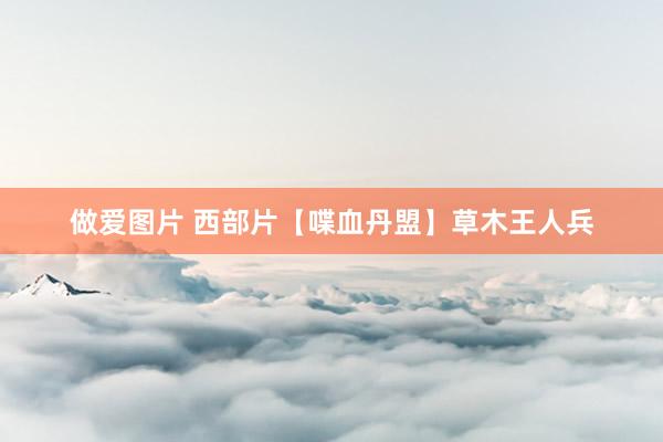 做爱图片 西部片【喋血丹盟】草木王人兵