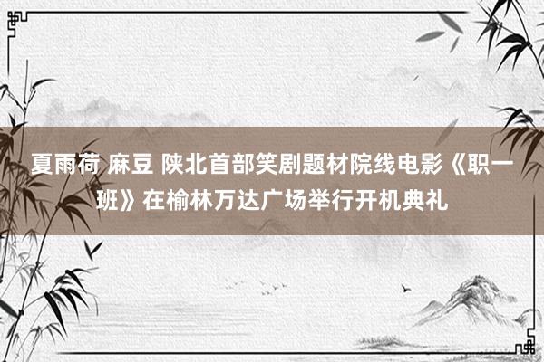 夏雨荷 麻豆 陕北首部笑剧题材院线电影《职一班》在榆林万达广场举行开机典礼